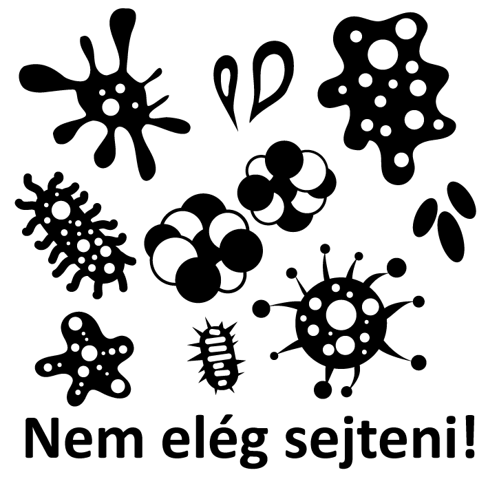 Tanári kar fantasztikus pecsétjei Tanári kar fantasztikus pecsétjei -