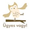 Matricák - szett - baglyos - Image 2