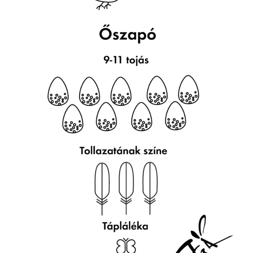 Őszapó