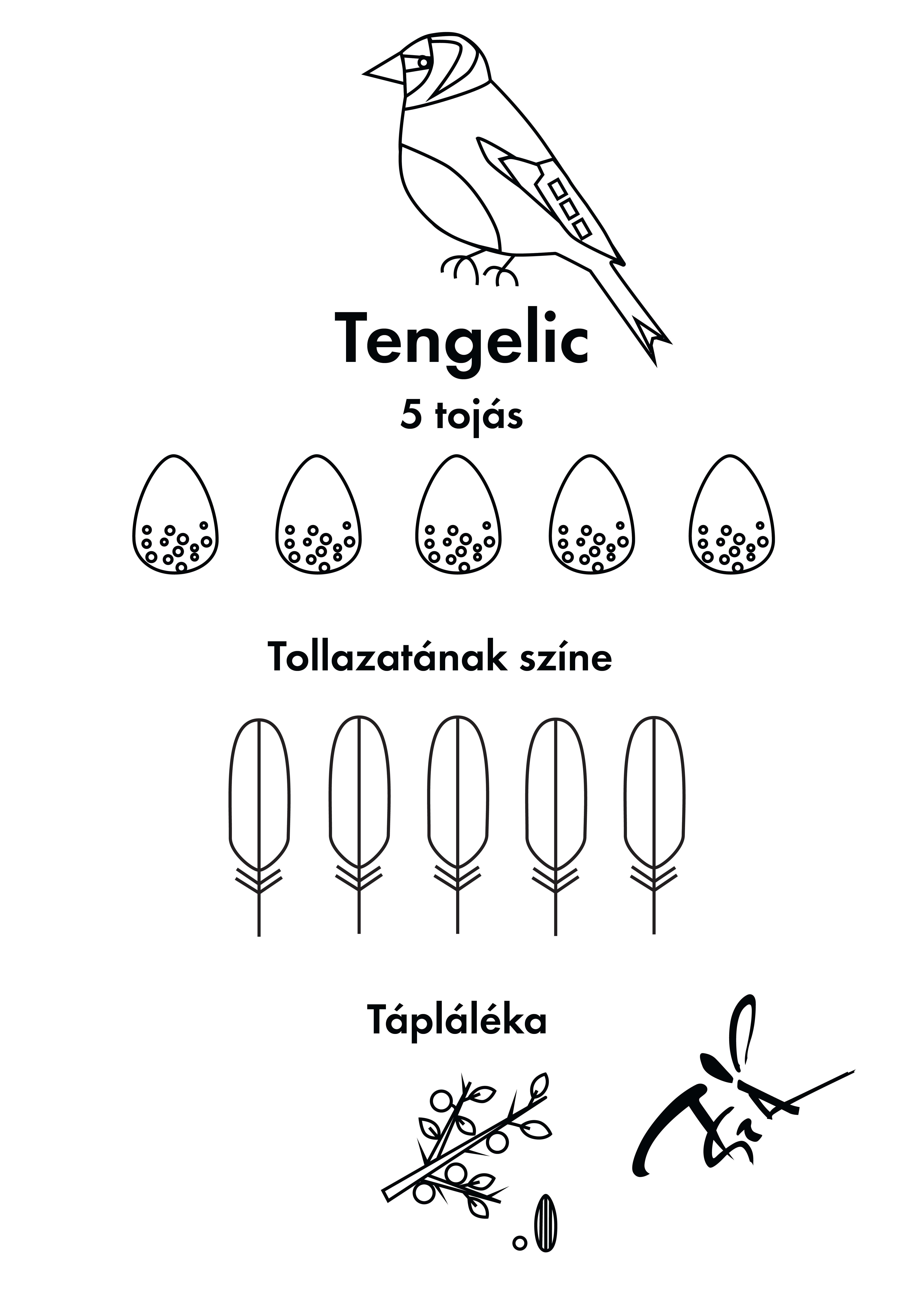 Tengelic - színező, kifestő