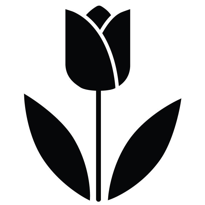 Virág - Tulipán - tömör