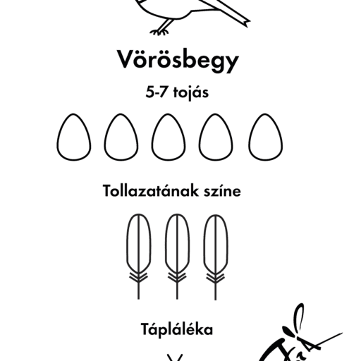 Vörösbegy