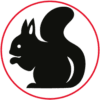 mókus