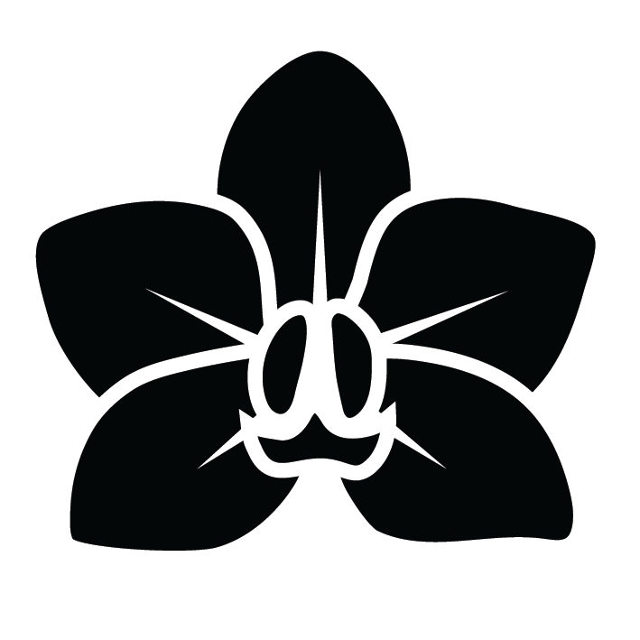 virag-orchidea