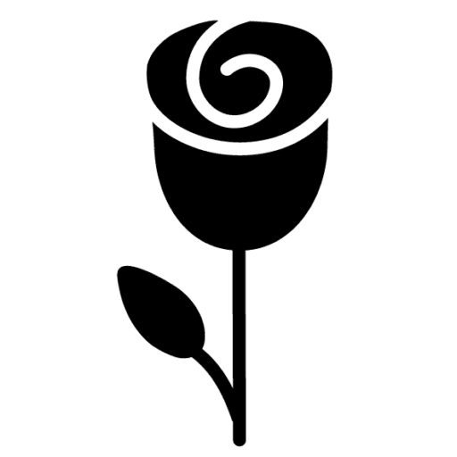 rózsa