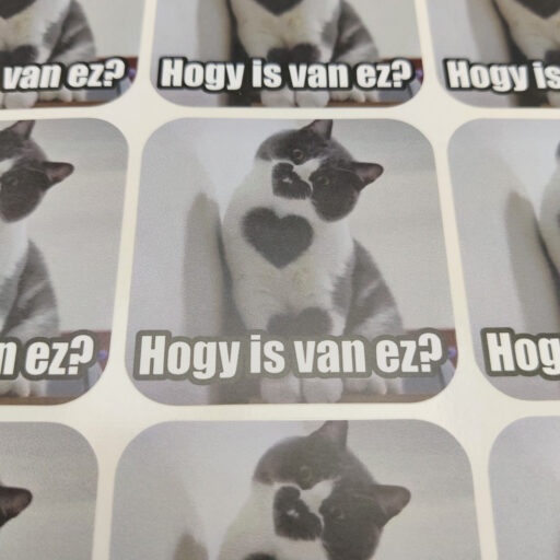 maxi-dogamem-matrica-tanaroknak-cica