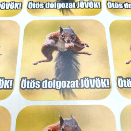 Maxi-dogamem-matrica-tanaroknak-mokus-otos