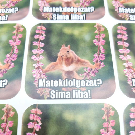 maxi-dogamem-matrica-tanaroknak.mokus-sima