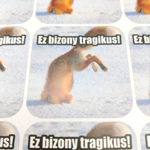 maxi-dogamem-matrica-tanaroknak-roka